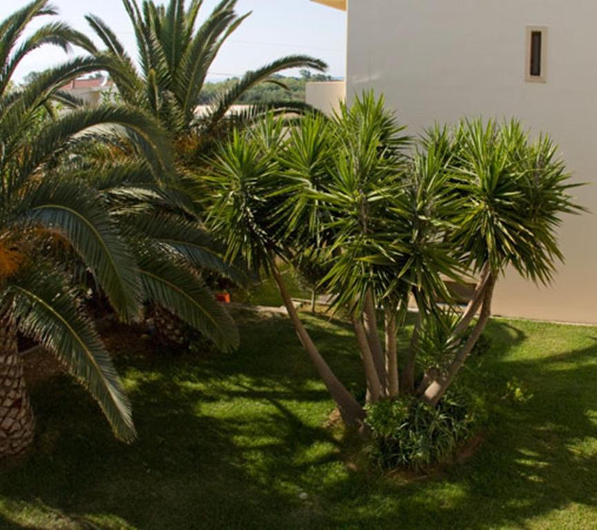 Olga Suites Maleme Esterno foto